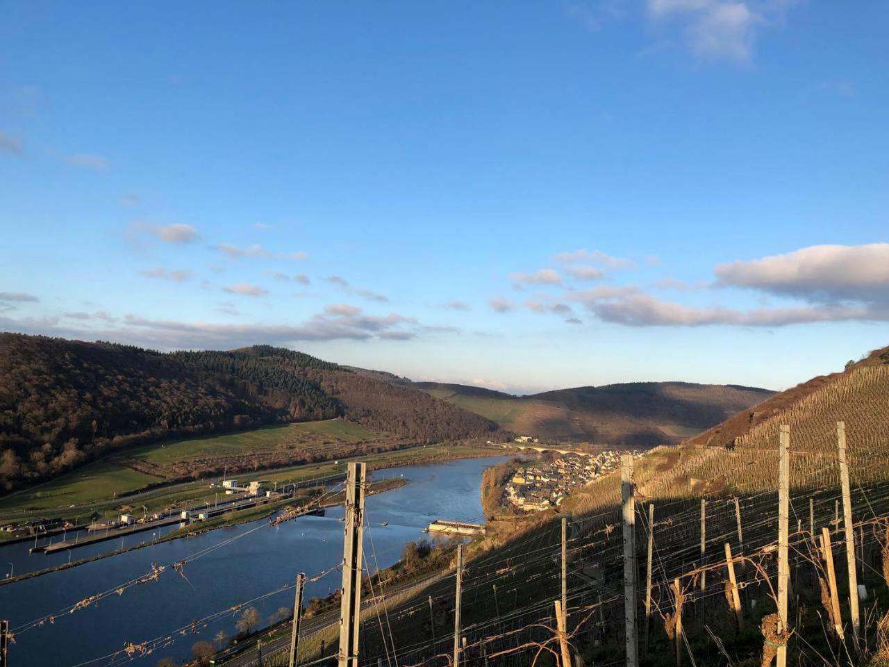 Apartment Romantisches 4 Rosenburgblick In Moselnaehe Zeltingen-Rachtig